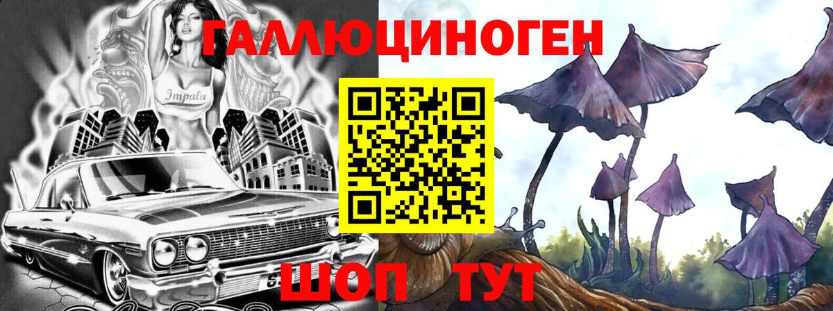 сколько стоит  Вход с VPN  Нижний Тагил  Псилоцибиновые грибы GOLDEN TEACHER 